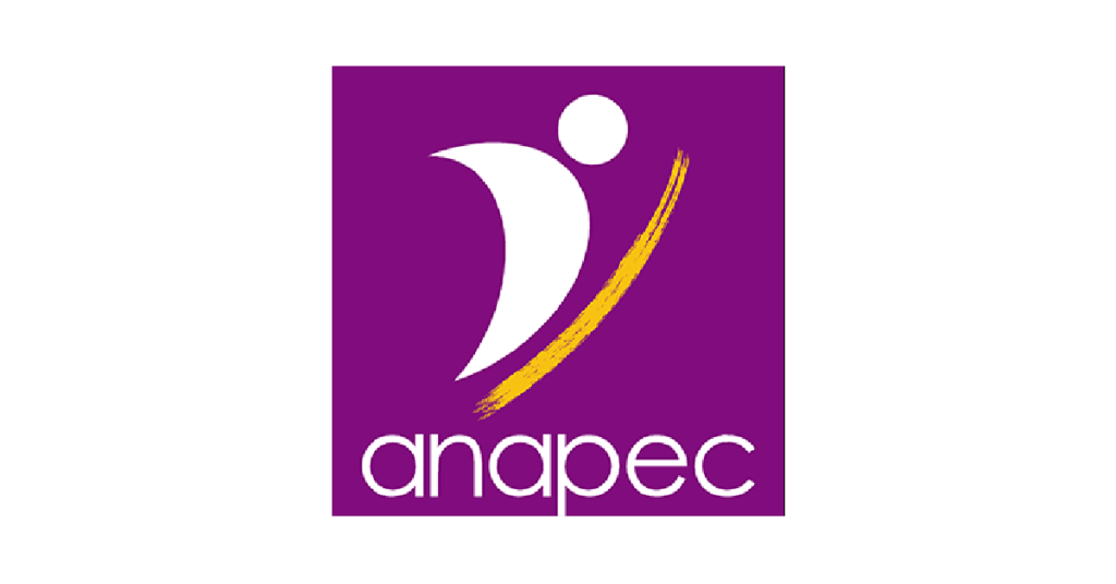 أنابيك طنجة: توظيف 80 سائقا سياحيا برخصة السياقة B بعقد CDD أنابيك طنجة: توظيف 80 سائقا سياحيا برخصة السياقة B بعقد CDD